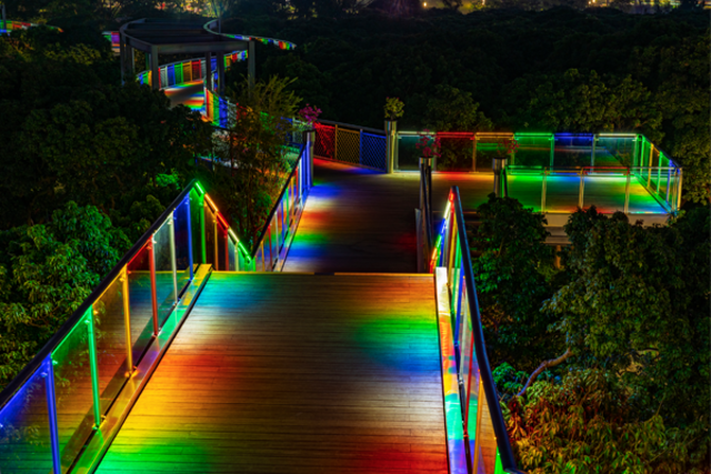 深圳香蜜公园道路夜景