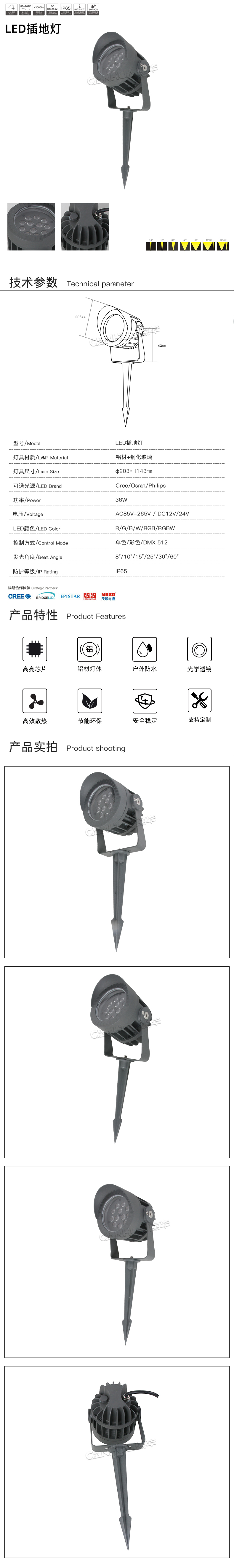 网站详情.jpg