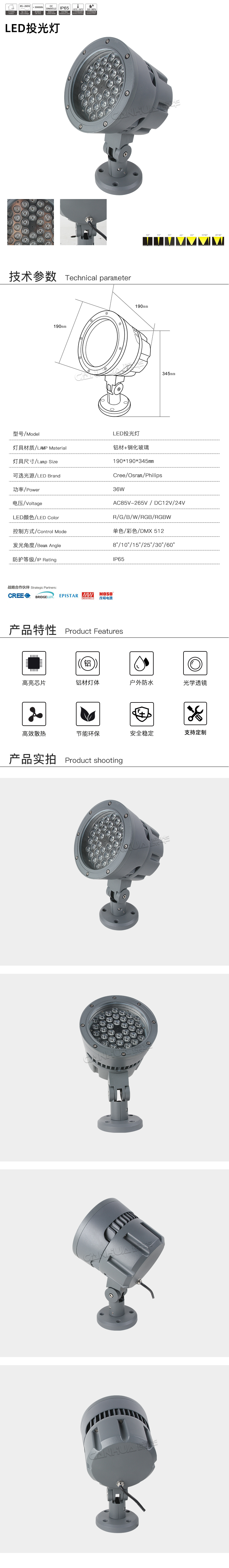 网站详情.jpg