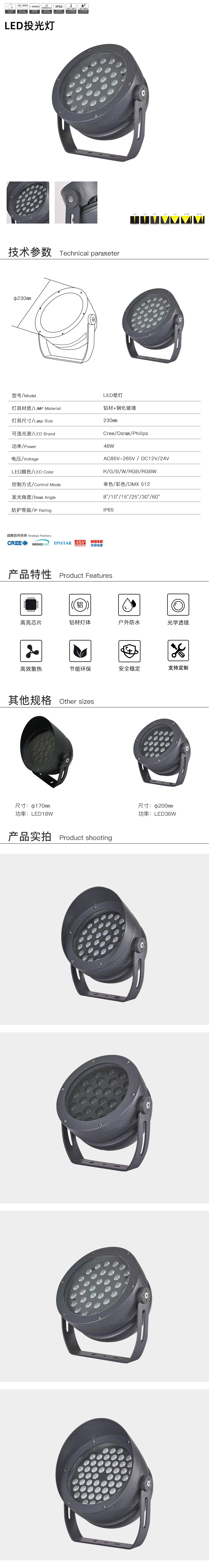 网站详情.jpg