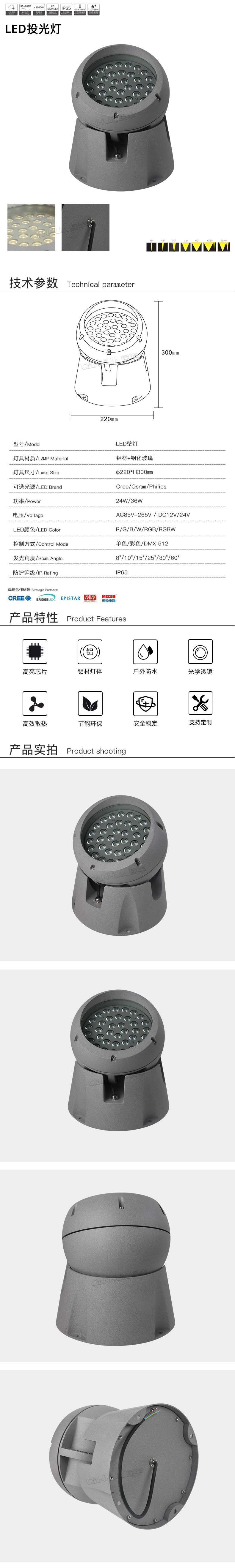 网站详情.jpg